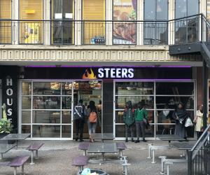 Steers